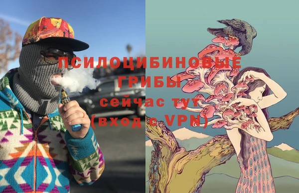 тгк Вязьма
