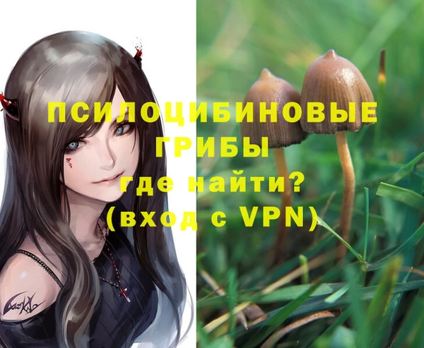 mdma Вяземский