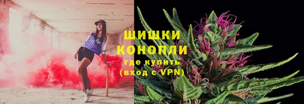 тгк Вязьма