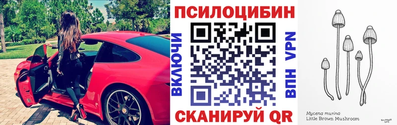 hydra как зайти  где продают наркотики  Зуевка  Псилоцибиновые грибы прущие грибы 